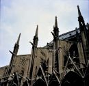 Flying Buttresses, Notre Dame Cathedral, Paris